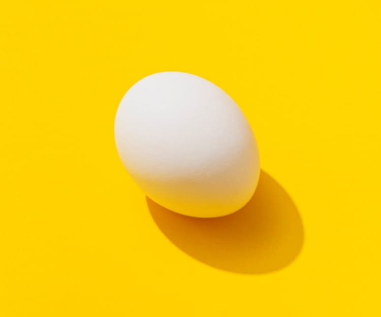 an-egg